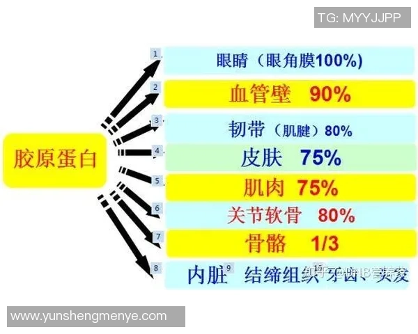 世界足球明星的寿命揭秘与健康生活方式的关系探讨 世界足球明星的寿命揭秘与健康生活方式的关系探讨